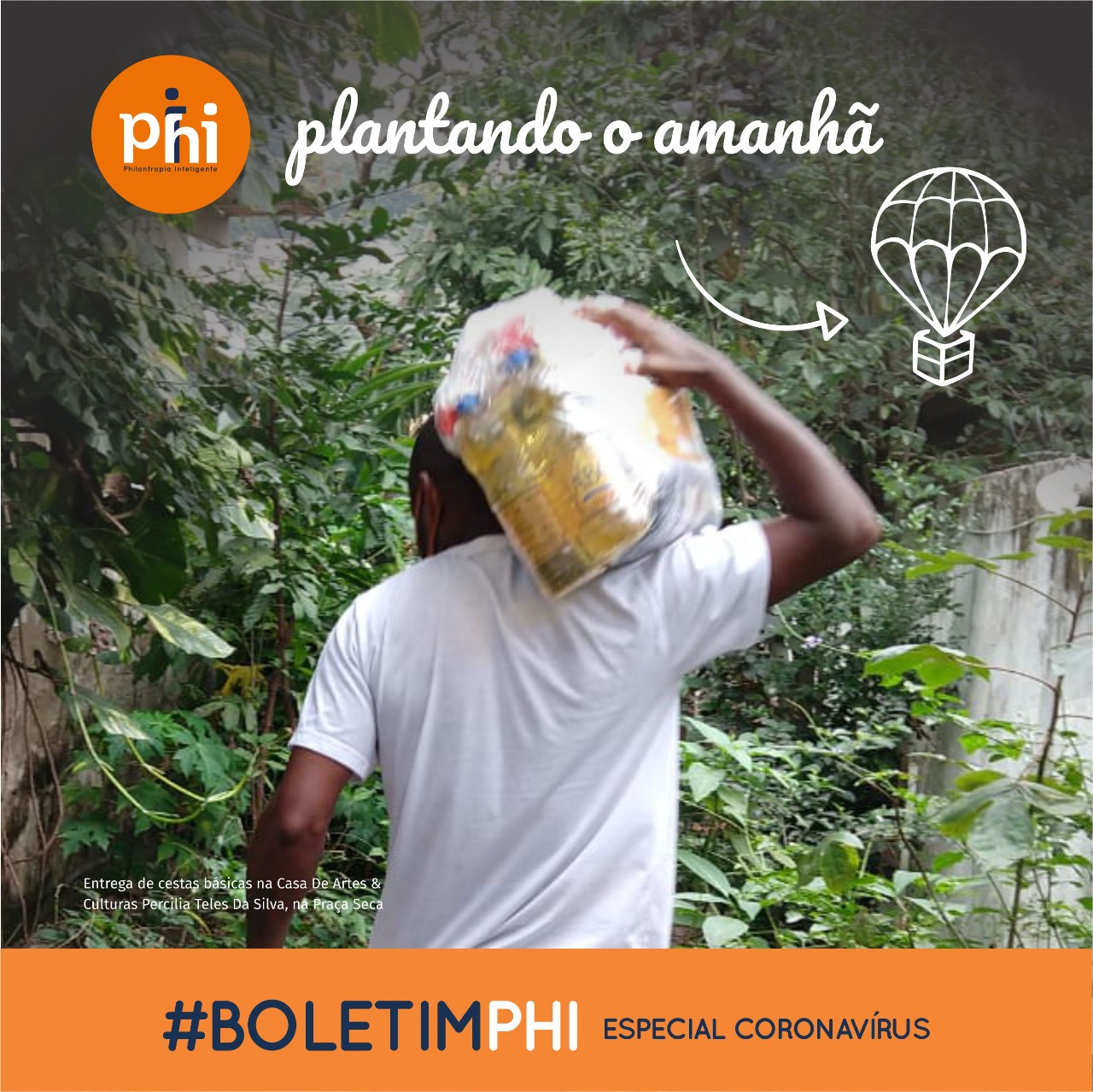 Boletim Phi: Plantando o amanhã