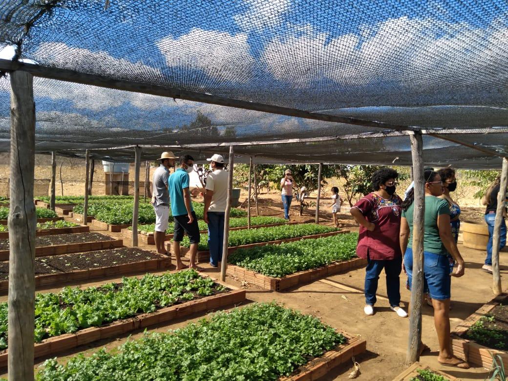 Núcleo de Educadores Populares do Sertão de Pernambuco – NEPS