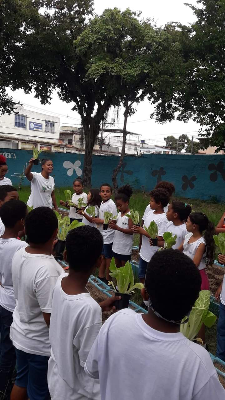 Transformando a CDD com educação ambiental: o projeto Eco Rede, da Alfazendo