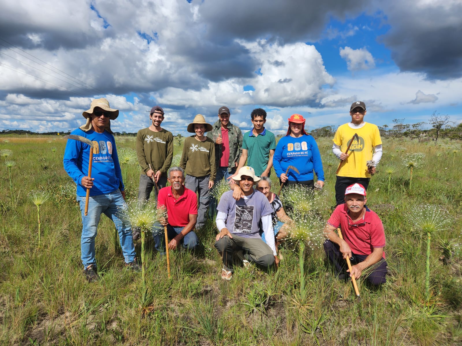 Associação de Coletores de Sementes da Chapada dos Veadeiros – Cerrado de Pé