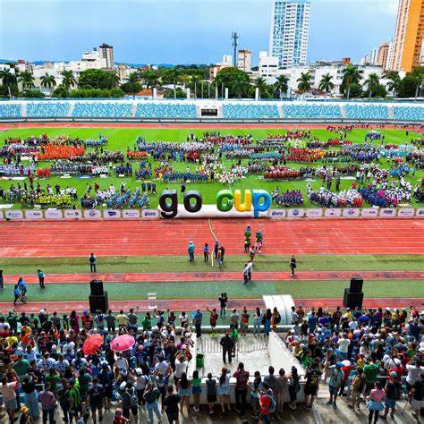 FEDERAÇÃO GOIANA DE FUTEBOL SETE/SOCIETY