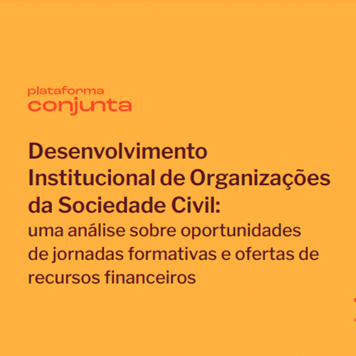 Desenvolvimento Institucional de Organizações da Sociedade Civil: uma análise sobre oportunidades de jornadas formativas e ofertas de recursos financeiros